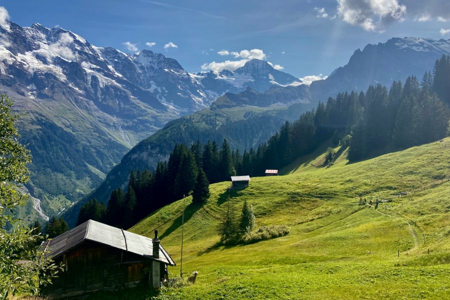 paysage de montagne de Hochzeiger
